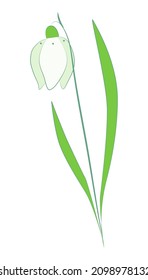 Dibujo vectorial de una nevada en tonos verdes suaves, ilustración de una flor primaveral