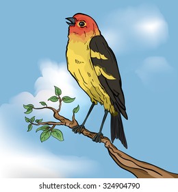 Vector drawing of a / Song Bird / Easy to edit layers and groups, no meshes gradients or effects used on bird only mesh used in background layer. 