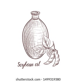 vector drawing soybean oil, bottle of vegetable oil and soya bean,hand drawn illustration