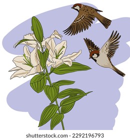 dibujo vectorial de aves de espuma y flores de lirio, ilustración dibujada a mano