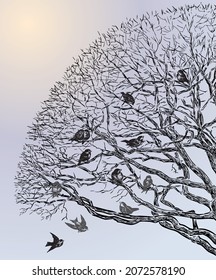 Vector drawing of sparrows flock on tree branches on cold winter day