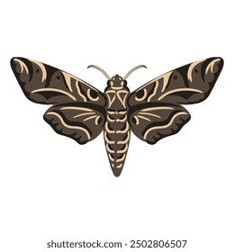 Polilla de la esfinge del dibujo del Vector, mariposa aislada en el fondo blanco, elemento natural, ilustración dibujada a mano