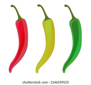 Vector, drawing spicy chili pepper, red pepper, yellow pepper, green pepper.