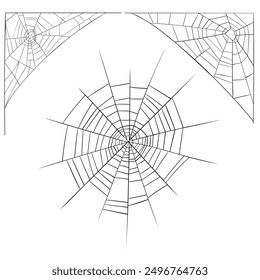 vector drawing spider web, hand drawn illustration