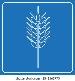 Vector drawing spikelet contour color white