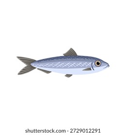 vector drawing Sprat, Commercial fish isolated at white background, hand drawn illustration