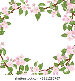 vector drawing spring background with branches with pink apple blossoms, apple tree flowers and green leaves at white, hand drawn illustration,floral template