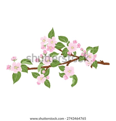 vector drawing spring branch with pink apple blossoms, apple tree flowers and green leaves isolated at white background, hand drawn illustration, isolated floral design element