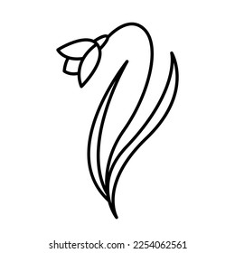 Vector drawing of a spring flower in the doodle style. vintage flower, template, wedding card, invitation, greeting card, poster, postcard.