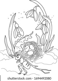Vector drawing spring flowers, ant, bird's nest. floral composition, hand drawn illustration. Coloring book for adults.