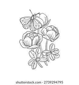 vector drawing spring flowers, bouquet with butterfly, vintage style elements isolated at white background, hand drawn illustration