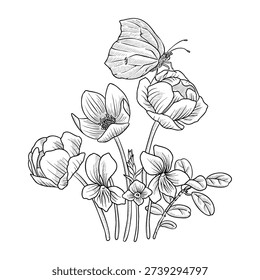 vector drawing spring flowers, bouquet with butterfly, vintage style elements isolated at white background, hand drawn illustration