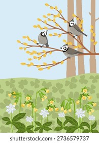 vector drawing spring landscape with birds, flowers and trees, crested tits at willow branch with catkins, primroses and chickweed-wintergreen, hand drawn illustration