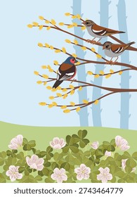 vector drawing spring landscape with birds, flowers and trees, Eurasian chaffinch at spring willow branch with catkins and wild sorrel, hand drawn illustration, cute natural background