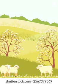 vector drawing spring landscape with white sheeps, flowering trees, sun and grass, hand drawn illustration