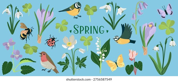 vector drawing spring set with birds, flowers and insects, blue tits snowdrop, bluebells,wild sorrel and butterflies, hand drawn illustration, cute natural background