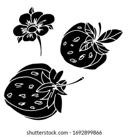 
Vector drawing of strawberries. Summer. Sketch, illustration. Decorative image