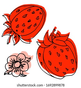 
Vector drawing of strawberries. Summer. Sketch, illustration. Decorative image