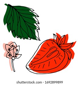 
Dibujo vectorial de fresas. Verano. Dibujo, ilustración. Imagen decorativa