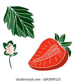 
Vector drawing of strawberries. Summer. Sketch, illustration. Decorative image