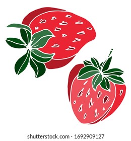 
Dibujo vectorial de fresas. Verano. Dibujo, ilustración. Imagen decorativa