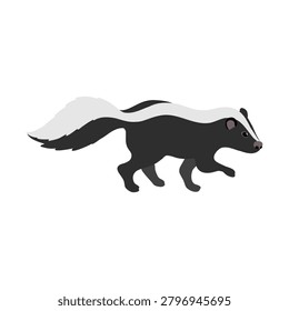 vector drawing striped skunk, Mephitis mephitis, wild animal isolated at white background , cartoon style character