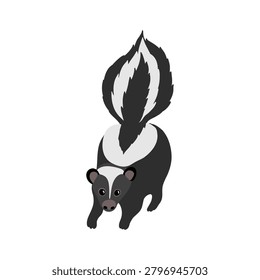 vector drawing striped skunk, Mephitis mephitis, wild animal isolated at white background , cartoon style character