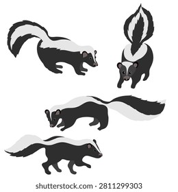 vector drawing striped skunks, Mephitis mephitis, wild animal isolated at white background , cartoon style character