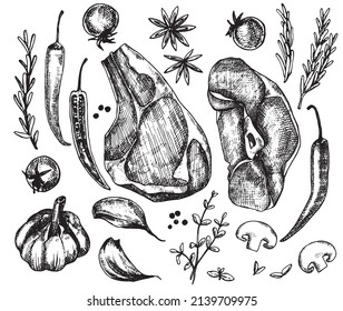 vector drawing in the style of graphics, engraving. vintage set of products meat beef, pork, spices. rosemary, garlic, pepper. black and white graphics