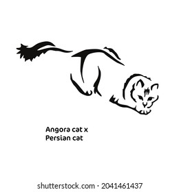 Vector drawing stylized attacking cat and long hair  Mix Angora cat and Persian cat  Gestalt animal design