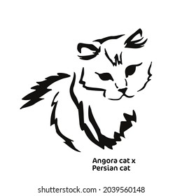 Vector drawing stylized cat and long hair  Mix Angora cat and Persian cat  Gestalt animal design