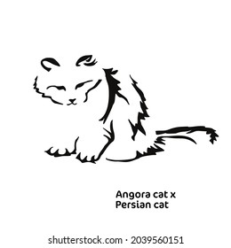 Vector drawing of a stylized cat with long hair. Mix of Angora cat with Persian cat. Gestalt animal design