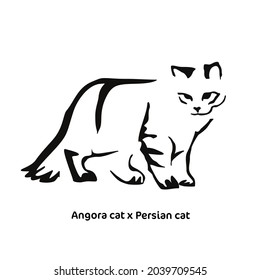 Vector drawing of a stylized cat with long hair. Mix of Angora cat with Persian cat. Gestalt animal design