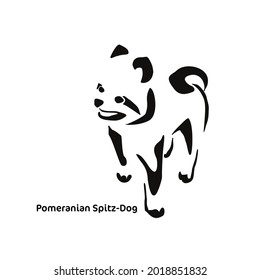 Vector drawing of a stylized Pomeranian spitz. Gestalt animal design. Little funny dog