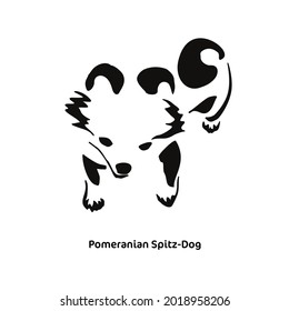 Vector drawing of a stylized Pomeranian spitz. Gestalt animal design. Little funny dog