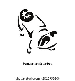 Vector drawing of a stylized Pomeranian spitz. Gestalt animal design. Little funny dog