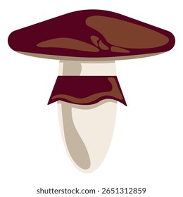 Desenho vetorial de um cogumelo suillus com um chapéu escuro e anel tipo saia. Ótimo para conjuntos de alimentos florestais, guias de identificação de fungos e aconchegantes projetos de natureza de outono.