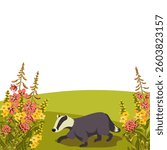 vector drawing summer flowers, badger and green hills, hand drawn illustration