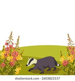 vector drawing summer flowers, badger and green hills, hand drawn illustration