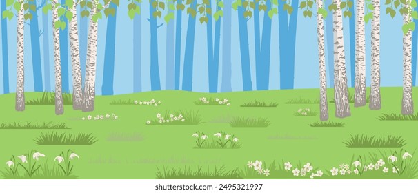 vector drawing summer forest landscape with birch trees and grass, natural background, hand drawn illustration