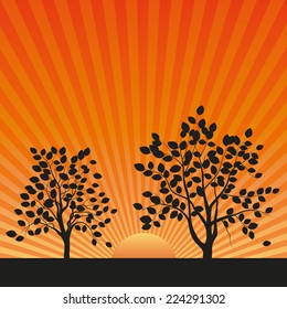 Vector drawing of the sun and autumn landscape