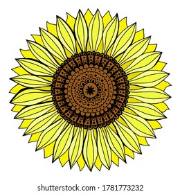 Vektorgrafik einer Sonnenblume, gedünstete Zeichnung einer gelben Blume, florentgefülltes Muster, Freibord-Zeichnung einer Sonnenblume, Dekorationselement, Textilien, Design