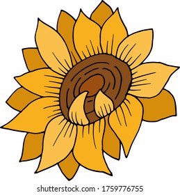 Vektorgrafik von Sonnenblumen. Die Natur. Skizze, Illustration. dekorativ