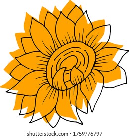 Vector drawing sunflower flower. Nature. Sketch, illustration. decorative