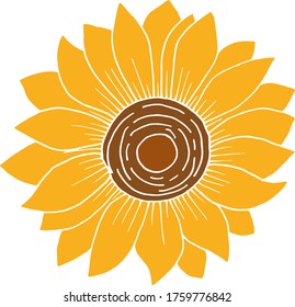 Vector drawing sunflower flower. Nature. Sketch, illustration. decorative