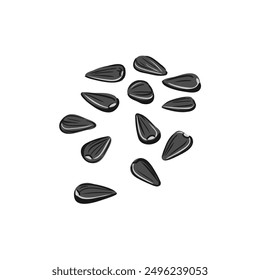 vector drawing sunflower seeds isolated at white background, hand drawn illustration