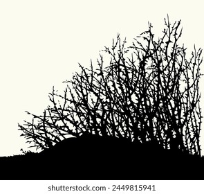 Vector drawing. The thorn bushes