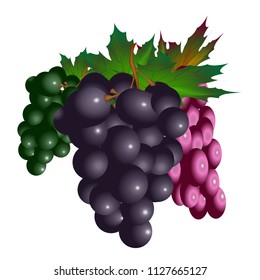 Vector drawing of three brushes on a white background.