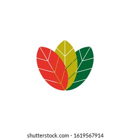 Vector drawing three leaflet, silhouette color green yellow red flat style