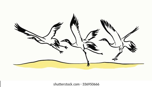 vector drawing of three stork takeoff